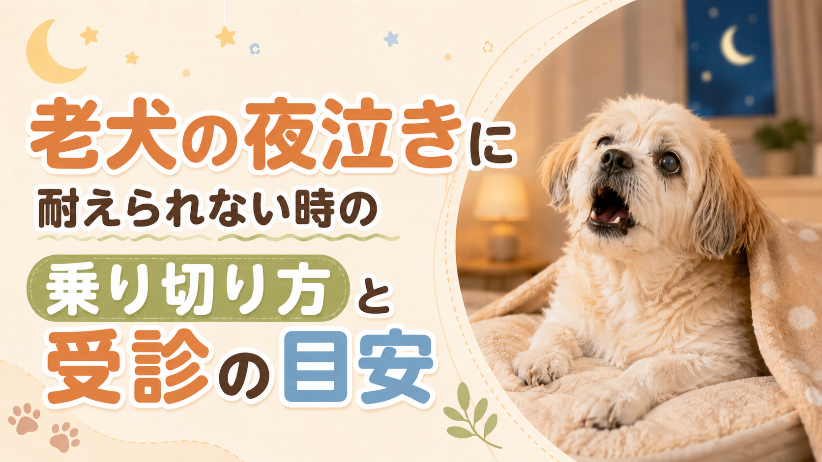 老 犬 夜泣き