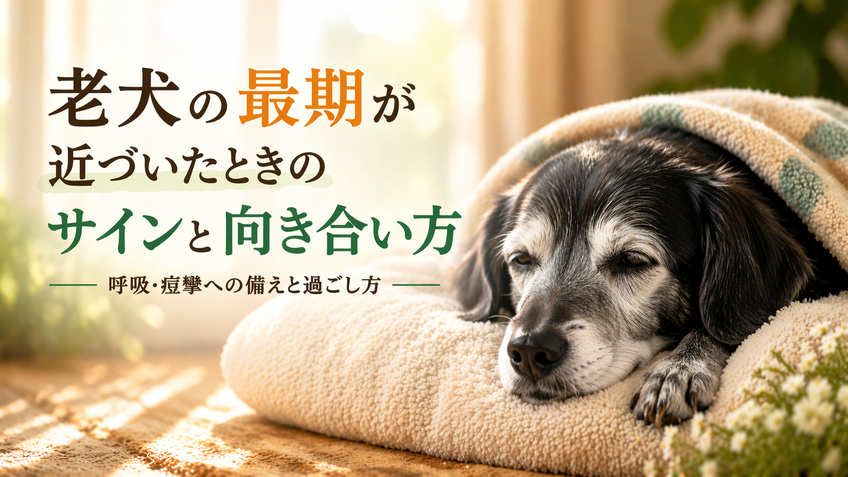 老犬の最期が近づいたときのサインと向き合い方｜呼吸・痙攣への備えと過ごし方