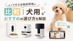 カメラ付き自動給餌器の比較｜犬用おすすめの選び方を解説