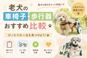 老犬の車椅子・歩行器おすすめ比較｜選び方を徹底解説