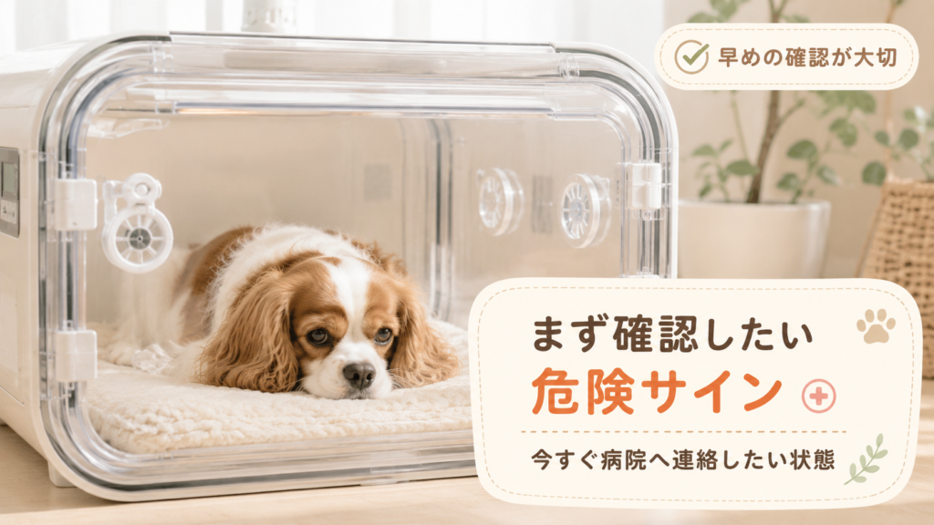 まず確認したい危険サイン：今すぐ病院へ連絡したい状態