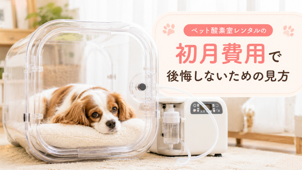 ペット酸素室レンタルの初月費用で後悔しないための見方