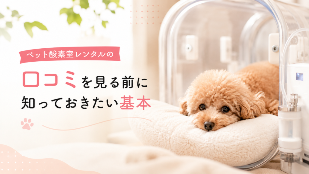 ペット酸素室レンタルの口コミを見る前に知っておきたい基本