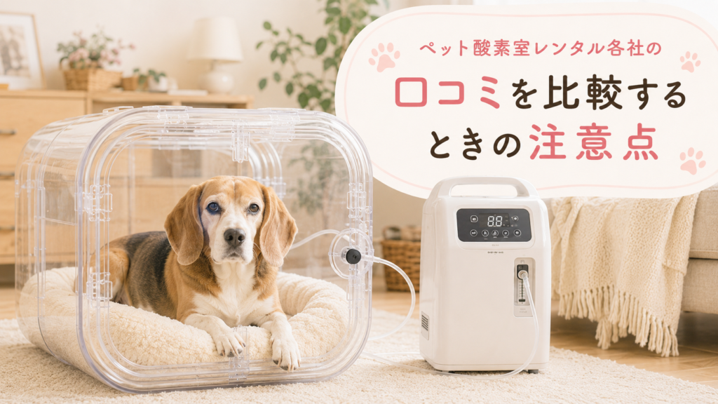 ペット酸素室レンタル各社の口コミを比較するときの注意点
