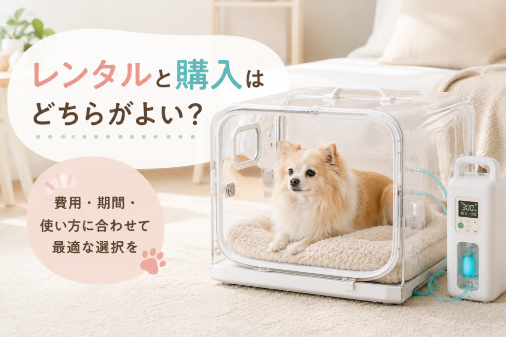 レンタルと購入はどちらがよい？