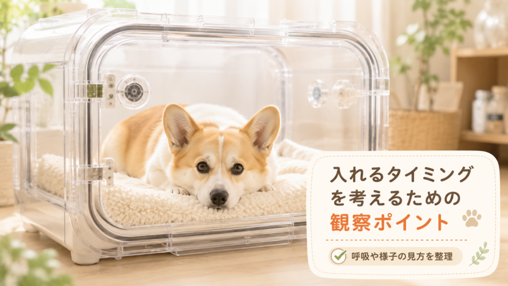 入れるタイミングを考えるための観察ポイント