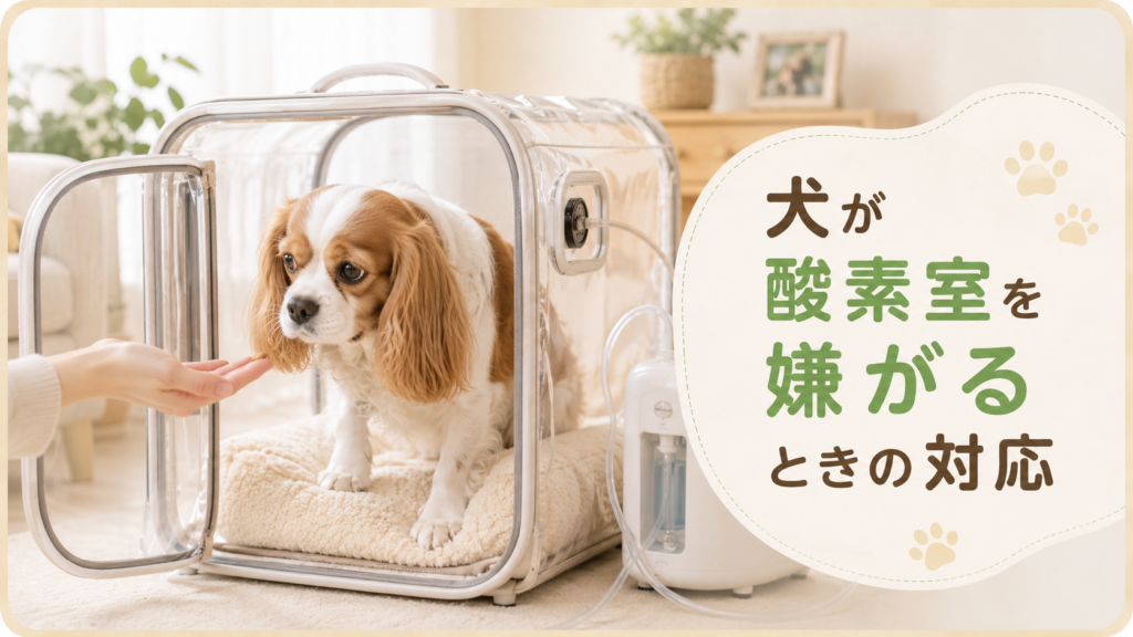 犬が酸素室を嫌がるときの対応
