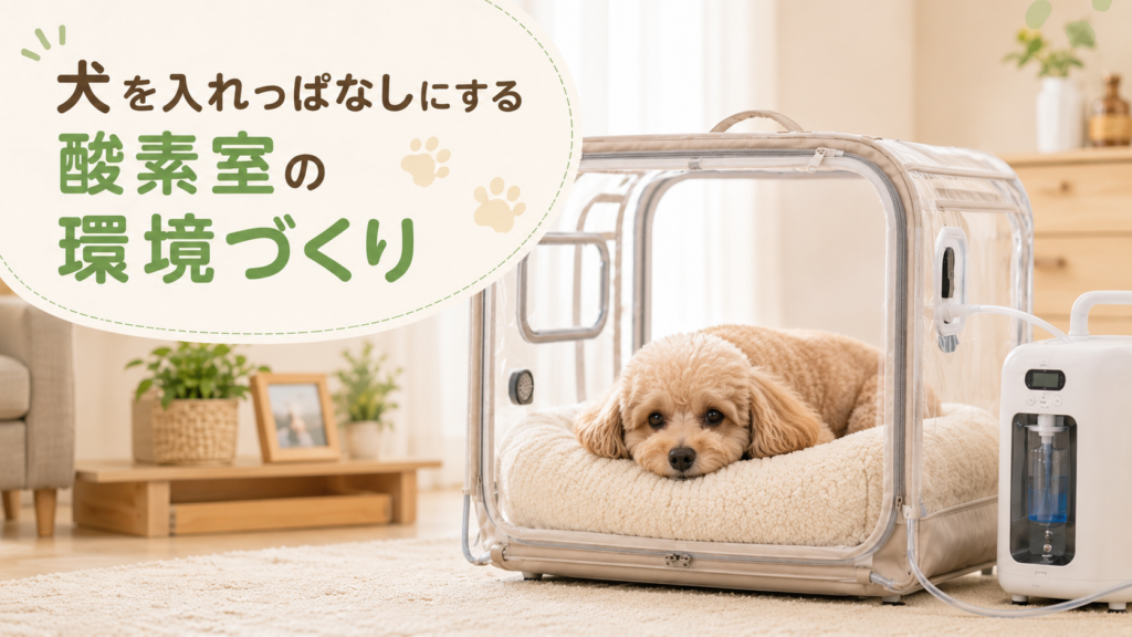 犬を入れっぱなしにする酸素室の環境づくり