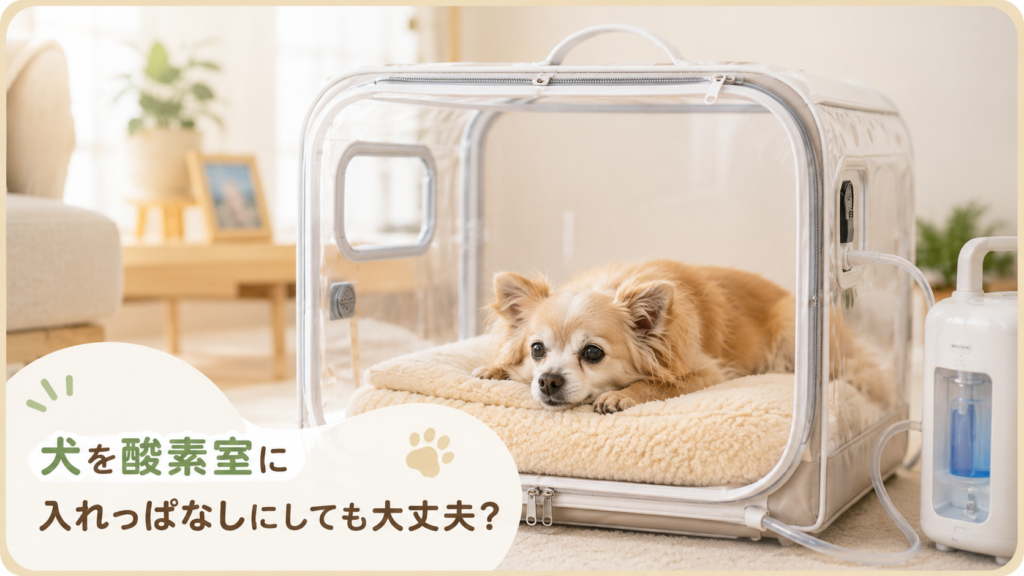 犬を酸素室に入れっぱなしにしても大丈夫？