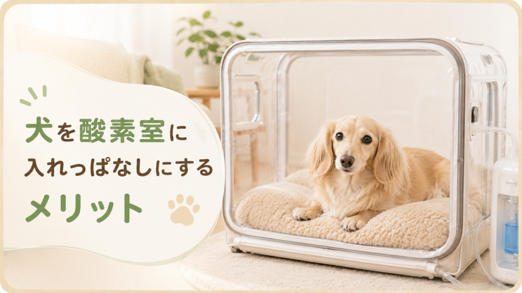 犬を酸素室に入れっぱなしにするメリット