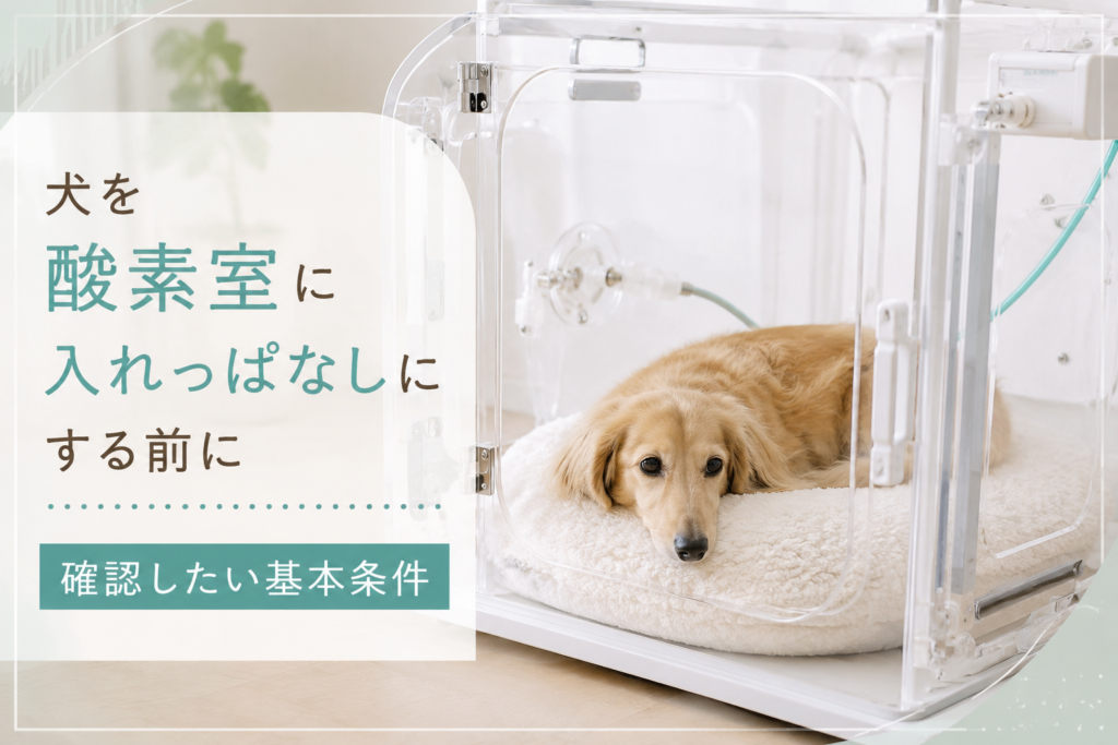 犬を酸素室に入れっぱなしにする前に確認したい基本条件