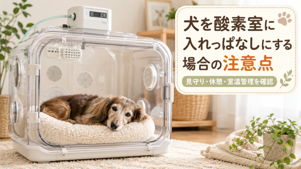 犬を酸素室に入れっぱなしにする場合の注意点