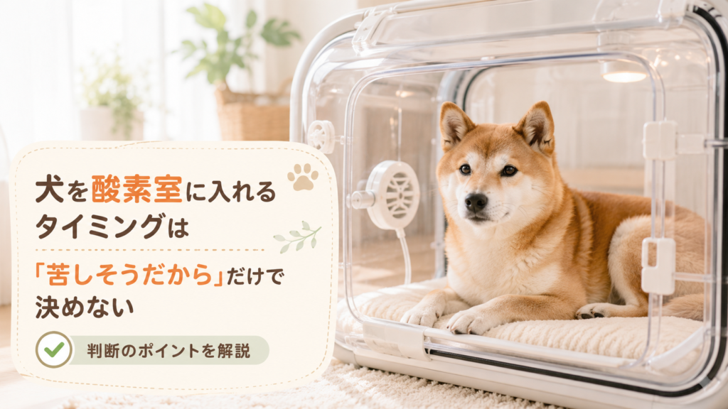 犬を酸素室に入れるタイミングは「苦しそうだから」だけで決めない
