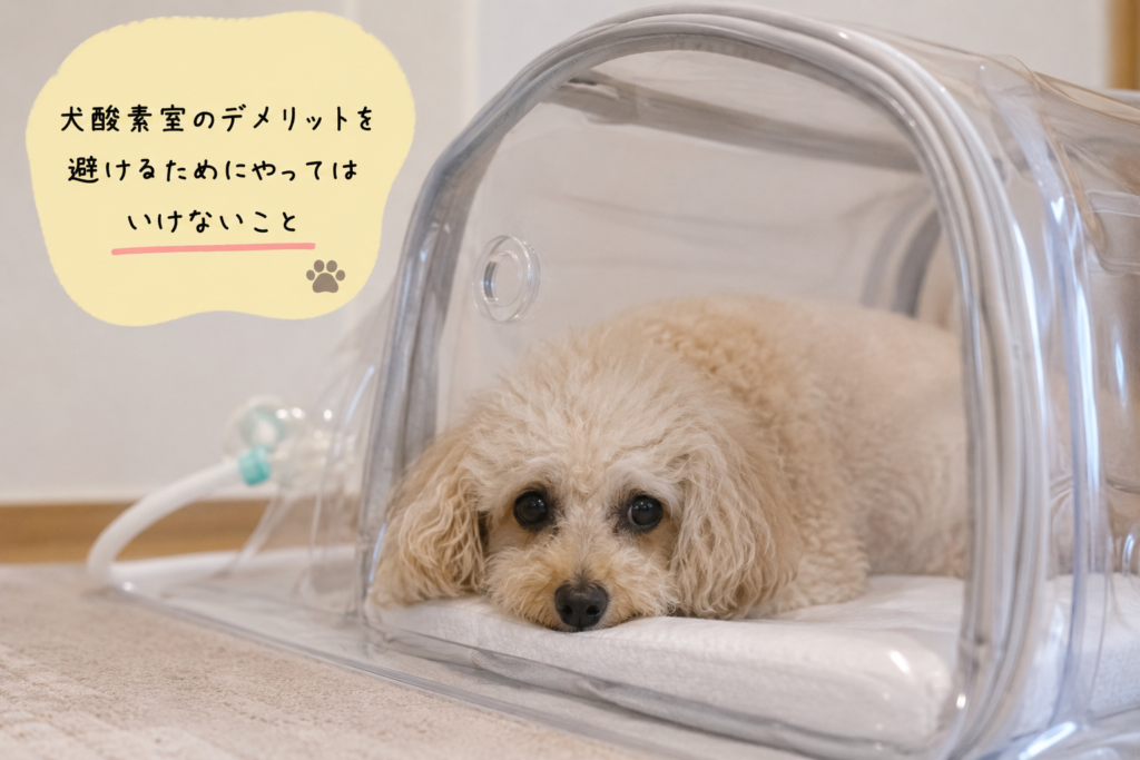 犬酸素室のデメリットを避けるためにやってはいけないこと