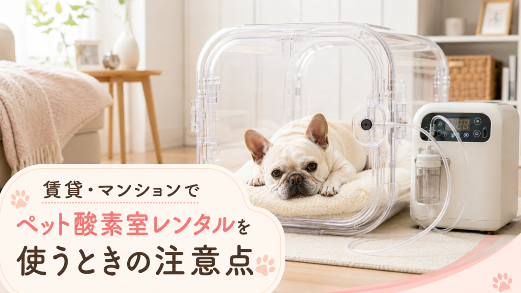 賃貸・マンションでペット酸素室レンタルを使うときの注意点