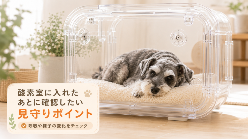 酸素室に入れたあとに確認したい見守りポイント
