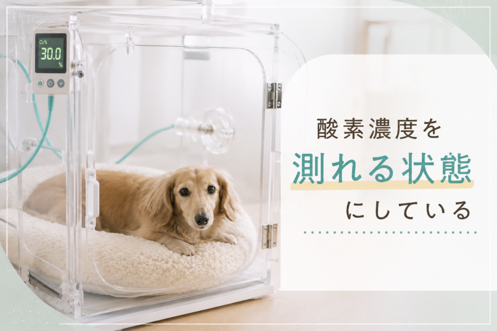 酸素濃度を測れる状態にしている